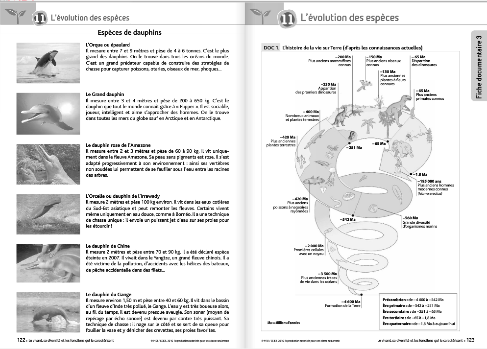 Sciences Et Technologie Fichier Mdi