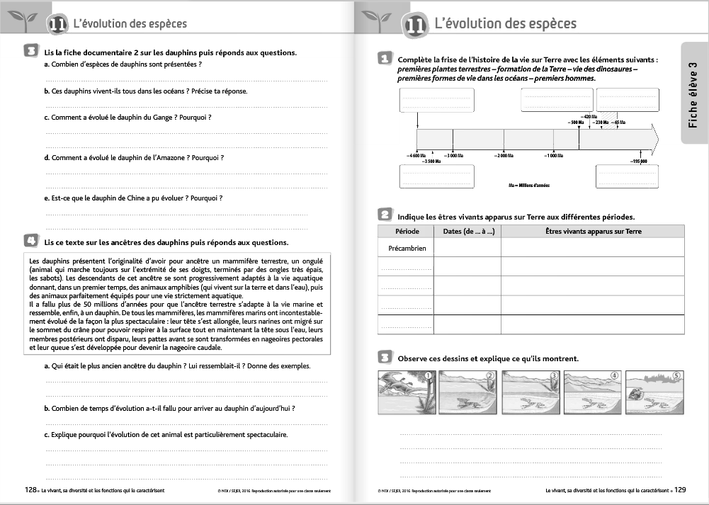 Sciences Et Technologie Fichier Mdi